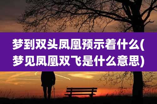 梦到双头凤凰预示着什么(梦见凤凰双飞是什么意思)