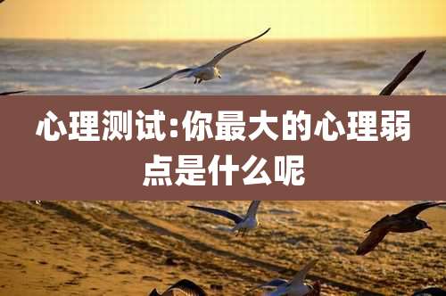 心理测试:你最大的心理弱点是什么呢