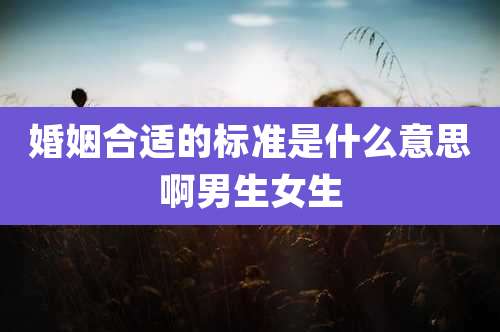 婚姻合适的标准是什么意思啊男生女生