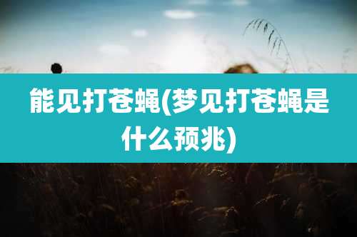 能见打苍蝇(梦见打苍蝇是什么预兆)