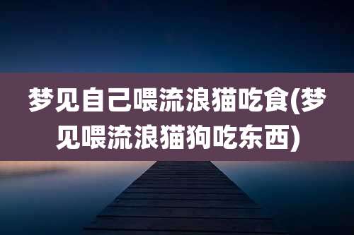 梦见自己喂流浪猫吃食(梦见喂流浪猫狗吃东西)