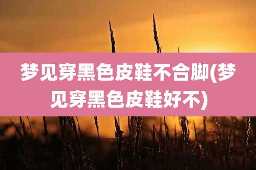 梦见穿黑色皮鞋不合脚(梦见穿黑色皮鞋好不)