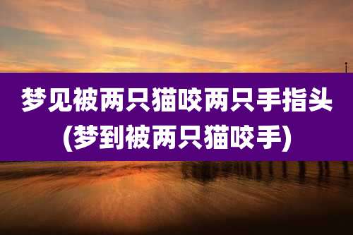 梦见被两只猫咬两只手指头(梦到被两只猫咬手)