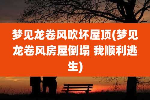 梦见龙卷风吹坏屋顶(梦见龙卷风房屋倒塌 我顺利逃生)