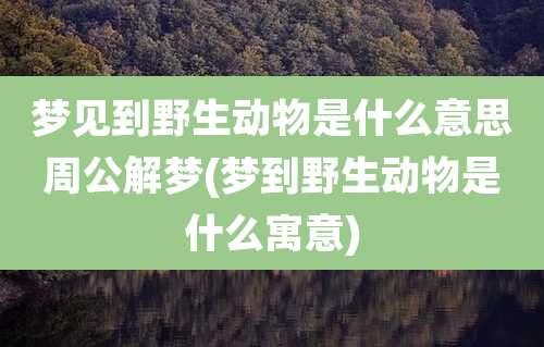 梦见到野生动物是什么意思周公解梦(梦到野生动物是什么寓意)