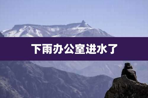 下雨办公室进水了