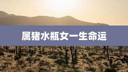 属猪水瓶女一生命运