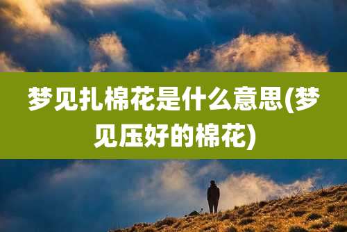 梦见扎棉花是什么意思(梦见压好的棉花)