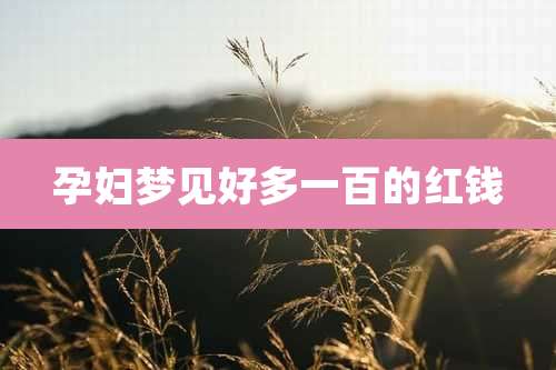 孕妇梦见好多一百的红钱