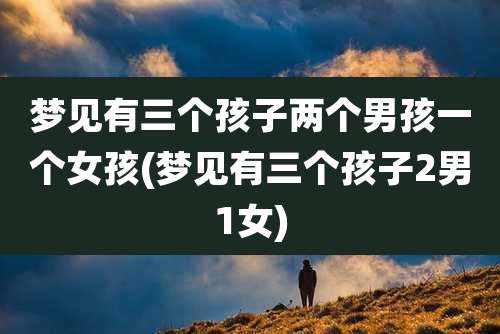 梦见有三个孩子两个男孩一个女孩(梦见有三个孩子2男1女)