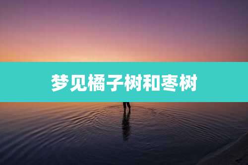 梦见橘子树和枣树