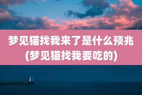 梦见猫找我来了是什么预兆(梦见猫找我要吃的)