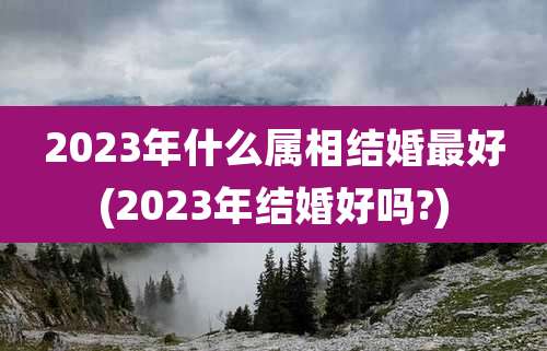 2023年什么属相结婚最好(2023年结婚好吗?)
