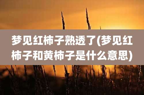 梦见红柿子熟透了(梦见红柿子和黄柿子是什么意思)