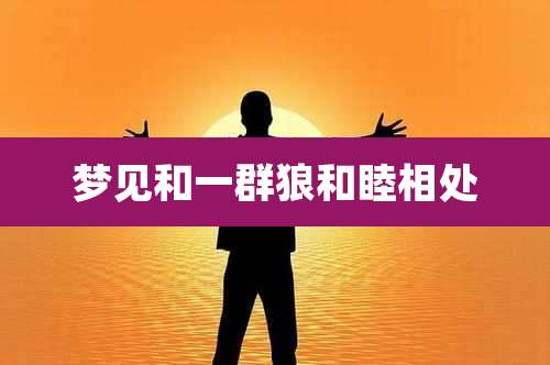 梦见和一群狼和睦相处