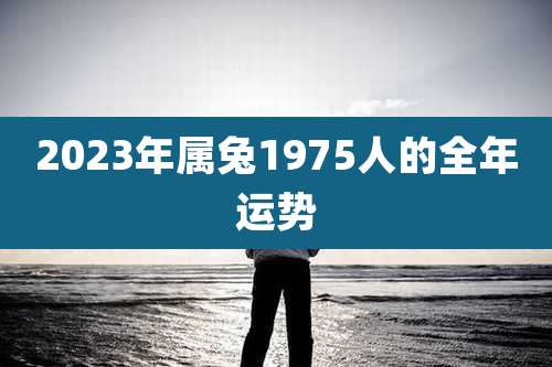 2023年属兔1975人的全年运势