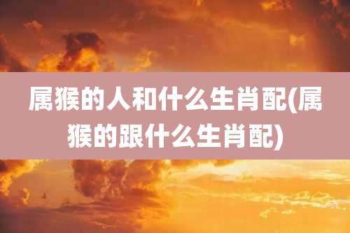 属猴的人和什么生肖配(属猴的跟什么生肖配)