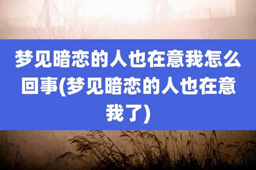 梦见暗恋的人也在意我怎么回事(梦见暗恋的人也在意我了)