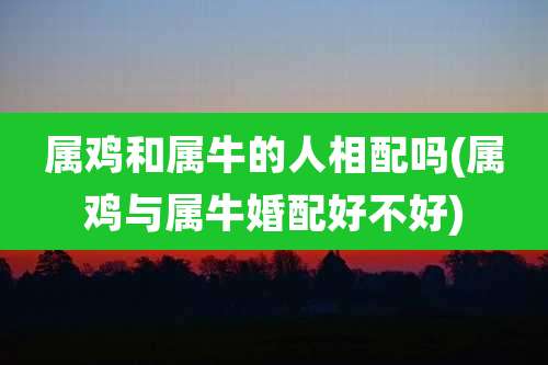 属鸡和属牛的人相配吗(属鸡与属牛婚配好不好)