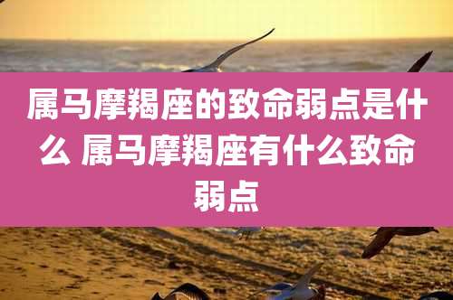 属马摩羯座的致命弱点是什么 属马摩羯座有什么致命弱点