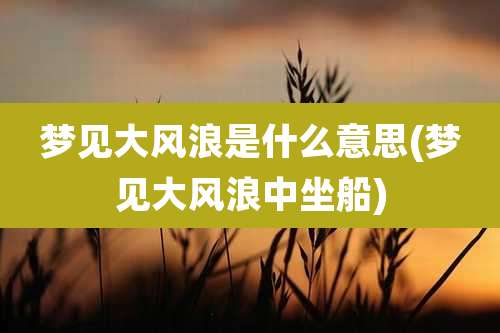 梦见大风浪是什么意思(梦见大风浪中坐船)