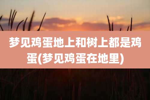 梦见鸡蛋地上和树上都是鸡蛋(梦见鸡蛋在地里)