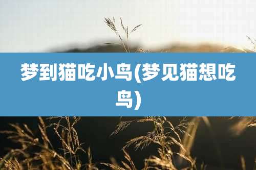 梦到猫吃小鸟(梦见猫想吃鸟)