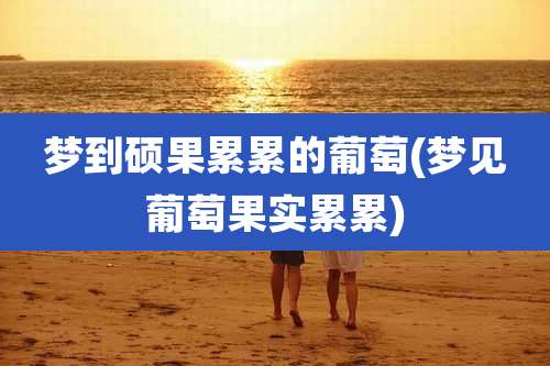 梦到硕果累累的葡萄(梦见葡萄果实累累)