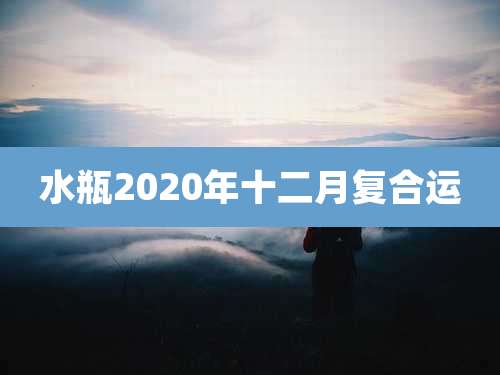 水瓶2020年十二月复合运