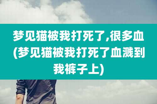 梦见猫被我打死了,很多血(梦见猫被我打死了血溅到我裤子上)