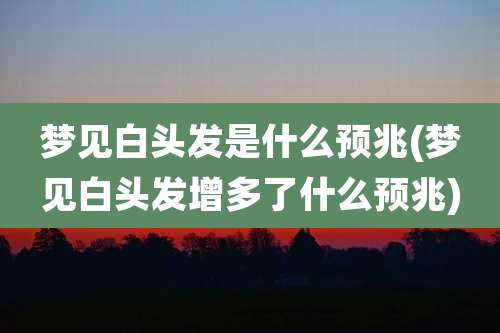 梦见白头发是什么预兆(梦见白头发增多了什么预兆)