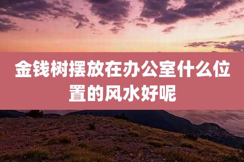 金钱树摆放在办公室什么位置的风水好呢