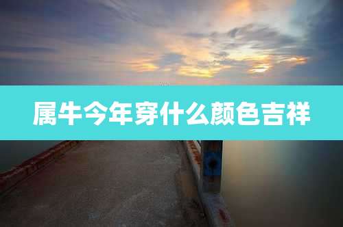 属牛今年穿什么颜色吉祥