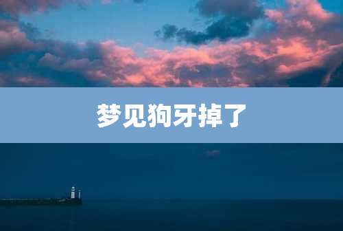 梦见狗牙掉了