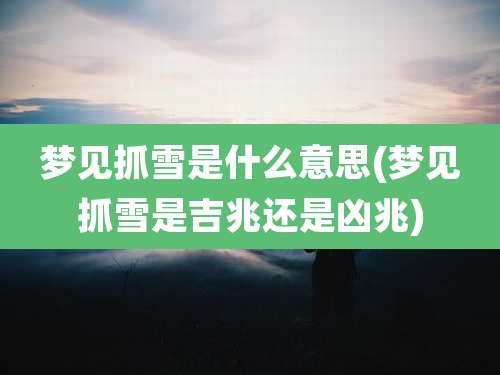 梦见抓雪是什么意思(梦见抓雪是吉兆还是凶兆)