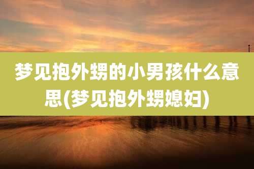 梦见抱外甥的小男孩什么意思(梦见抱外甥媳妇)