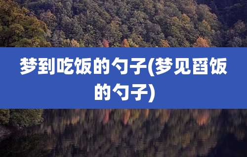 梦到吃饭的勺子(梦见舀饭的勺子)
