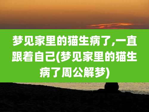 梦见家里的猫生病了,一直跟着自己(梦见家里的猫生病了周公解梦)