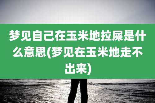 梦见自己在玉米地拉屎是什么意思(梦见在玉米地走不出来)