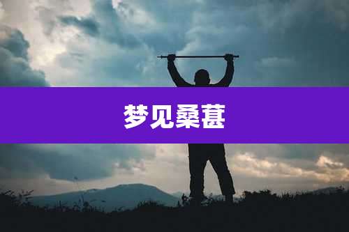 梦见桑葚
