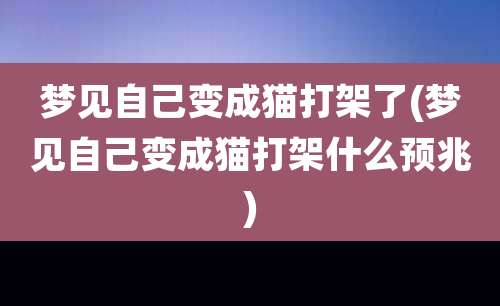 梦见自己变成猫打架了(梦见自己变成猫打架什么预兆)