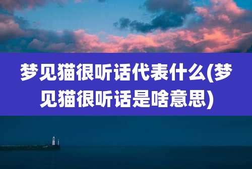 梦见猫很听话代表什么(梦见猫很听话是啥意思)