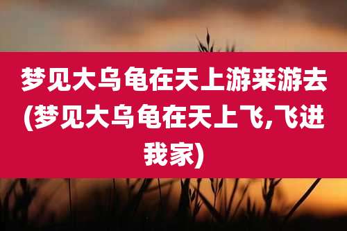 梦见大乌龟在天上游来游去(梦见大乌龟在天上飞,飞进我家)