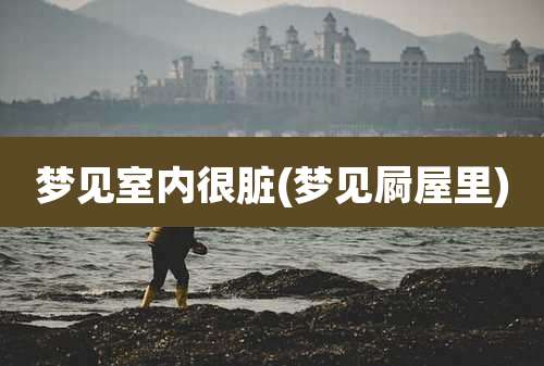 梦见室内很脏(梦见屙屋里)