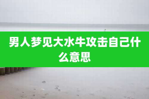男人梦见大水牛攻击自己什么意思