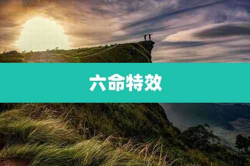 六命特效