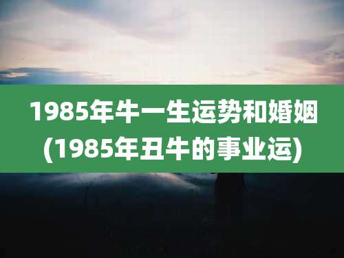 1985年牛一生运势和婚姻(1985年丑牛的事业运)
