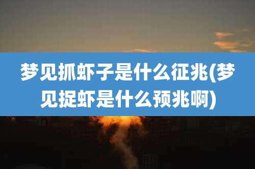 梦见抓虾子是什么征兆(梦见捉虾是什么预兆啊)