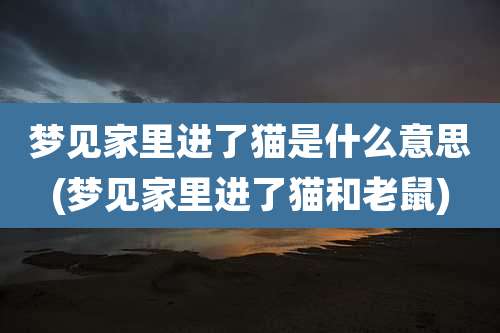 梦见家里进了猫是什么意思(梦见家里进了猫和老鼠)