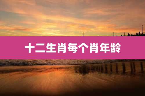 十二生肖每个肖年龄